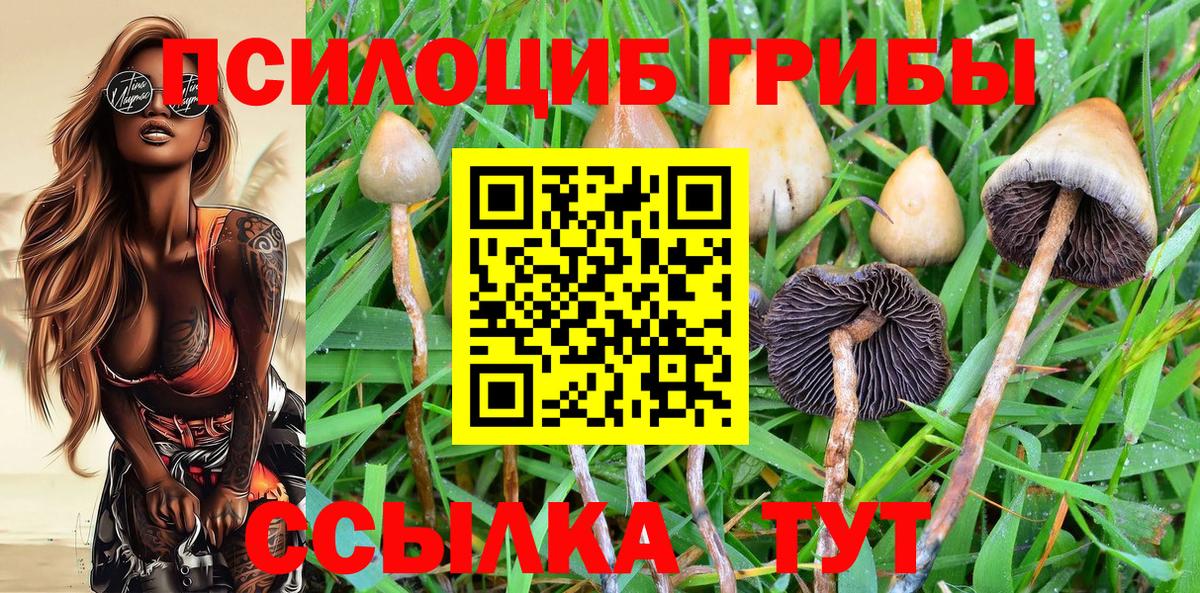 Псилоцибиновые грибы мухоморы Назрань