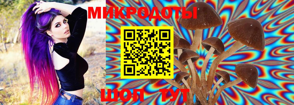Псилоцибиновые грибы прущие грибы  Вход с VPN  Назрань 